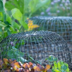 Cloche/basket - antique pewter