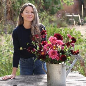 Cosmic love dahlia collection