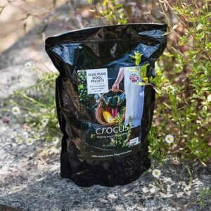 Crocus natural wool slug pellets