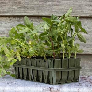 Deep root trainers