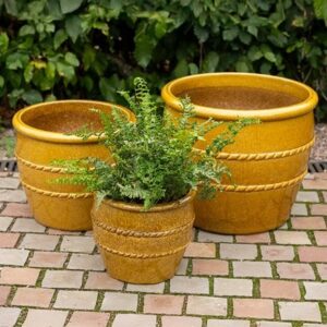 Glazed terracotta planter with rope detail - ochre