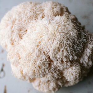 Lion's mane mushrooms