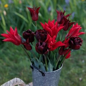 Lipstick and mascara tulip collection