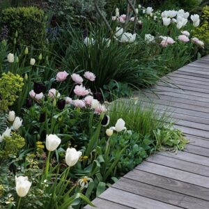 Lucy Willcox's contemporary pastel bulb collection