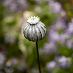 Perennial plant/bulb marking stake poppy seed head