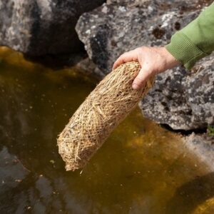 Pond clear Barley straw