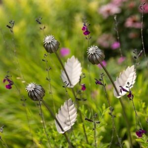Poppy seed head stake - small seed head