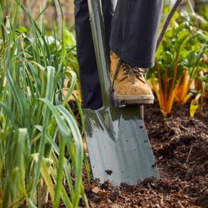 RHS Burgon & Ball BoronGreen digging spade