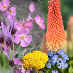 Ready-made border Sandy soil