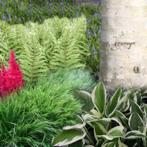 Ready-made border Woodland