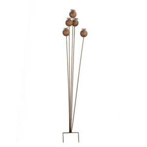 Rusted poppy seed cluster