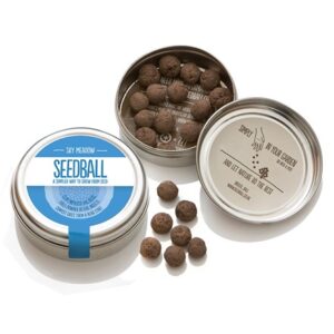 Seedballs blue meadow seedbombs