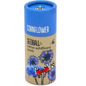 Seedballs cornflower seedbombs