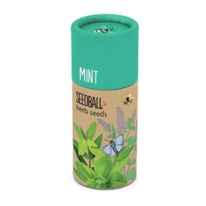 Seedballs mint seedbombs