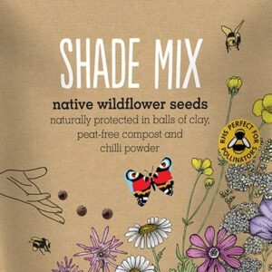 Seedballs native wildflowers for shade -seedbombs