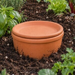 Terracotta olla irrigation self-watering pot