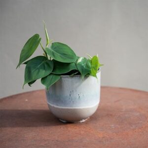 Two tone glazed ombre plant pot - blue