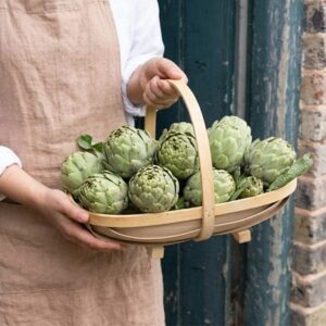 artichoke Vert Globe