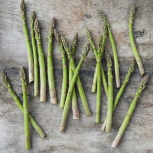 asparagus Gijnlim
