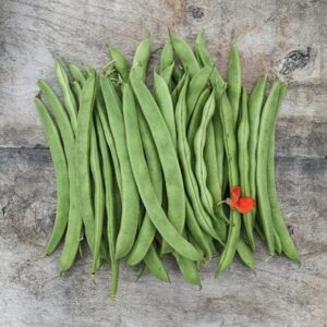 bean (runner) Lady Di