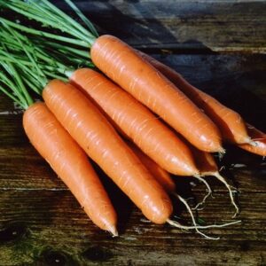 carrot Eskimo F1