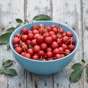 cherry Morello