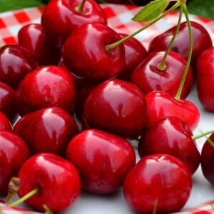 cherry Sweetheart