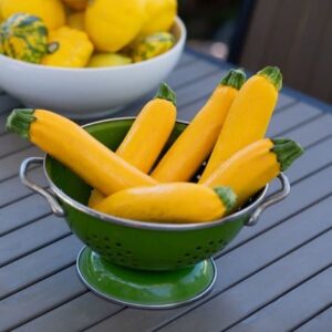 courgette Gold Rush