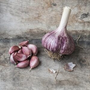 garlic Rhapsody Wight
