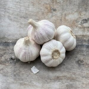 garlic Thermidrôme