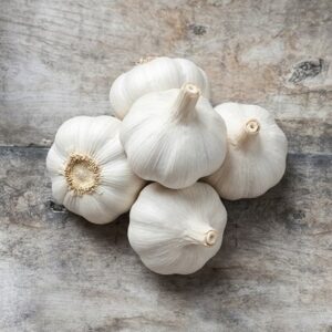 garlic Topadrôme (PBR)