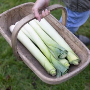 leek Musselburgh
