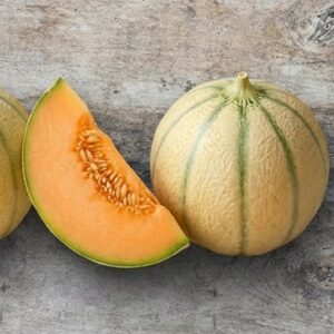 melon Charentais
