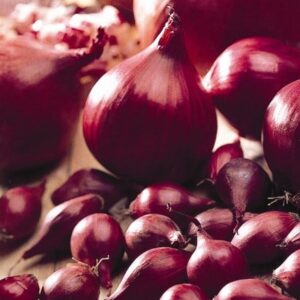 onion Electric (PBR)