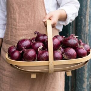 onion Red Baron