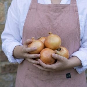 onion Sturon