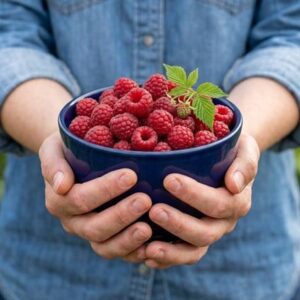 raspberry Autumn Bliss