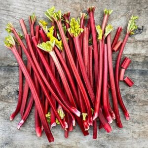 rhubarb Raspberry Red