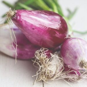 shallot Griselle