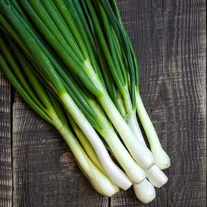 spring onion White Lisbon