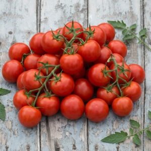 tomato Alicante