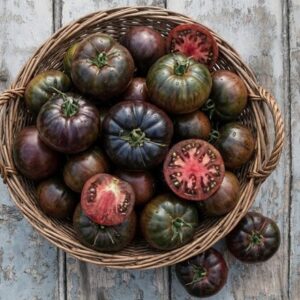 tomato Black Crimea