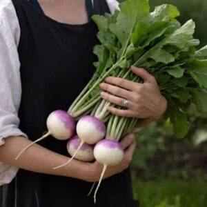 turnip Sweetbell F1